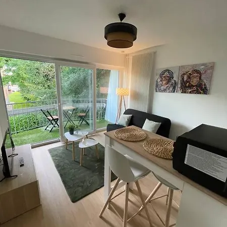 Au Cosy Ii Proche Europapark